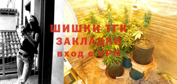 тгк Армянск