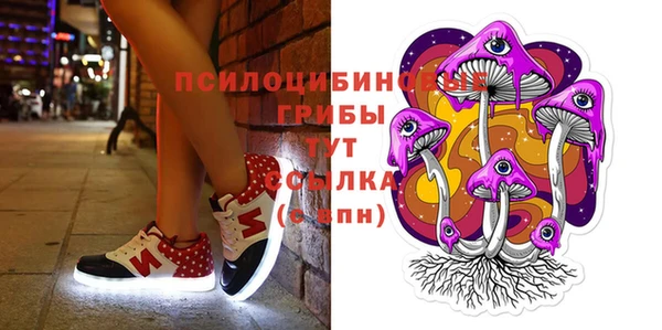 spice Аркадак