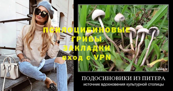 spice Аркадак