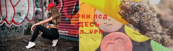 прущие грибы Ладушкин